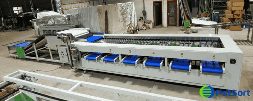 images/1596693959662green pepper.png